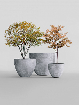 UPON CONCRETE GREY LIGHT