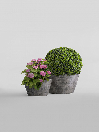 BOWL CONCRETE GREY DARK
